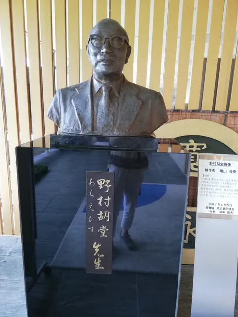 ノムラコドウアラエビスキネンカン