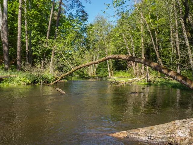 Rezerwat przyrody Przytoń