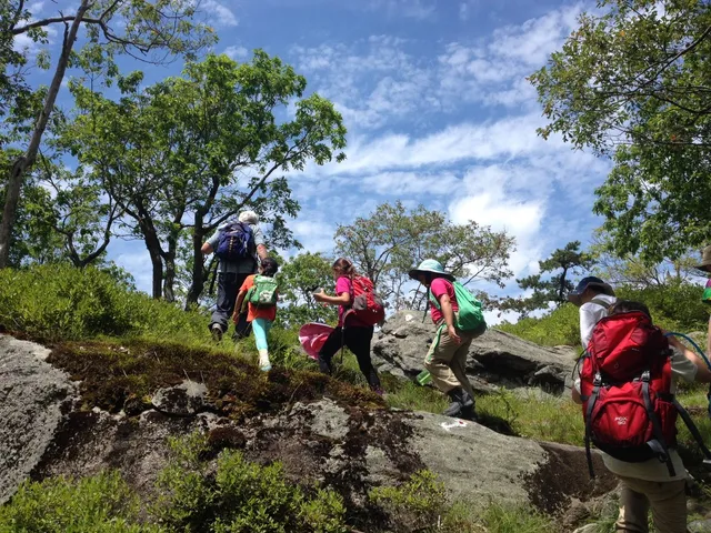 The Nature Place Day Camp