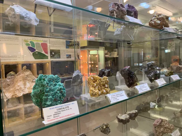 Museo di mineralogia e paleontologia