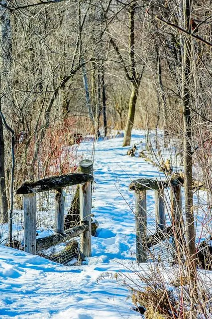 Réserve naturelle du Boisé-des-Douze