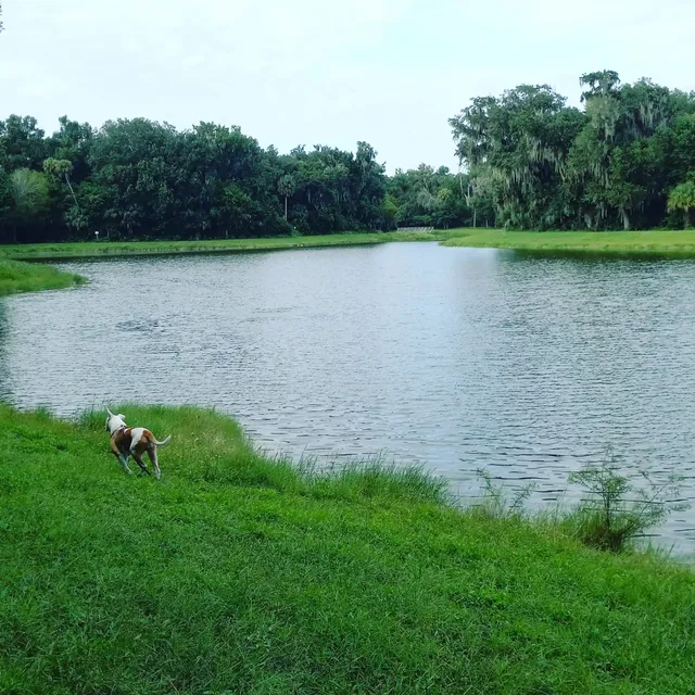 Riviera Oaks Dog Park
