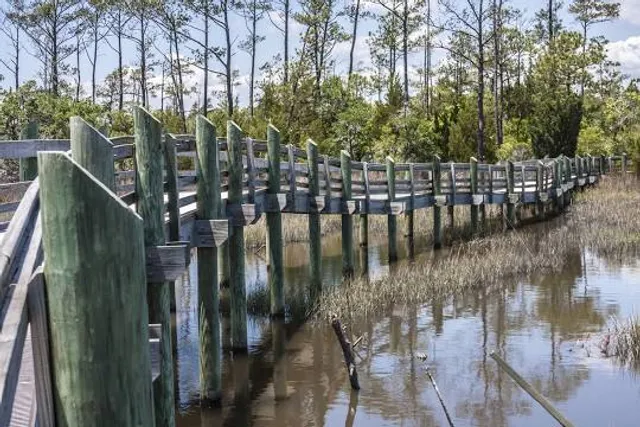 Cedar Point Tideland Trail