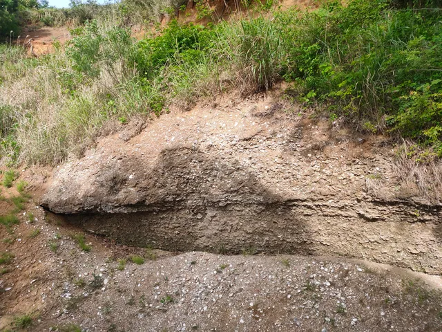 Kioroshi Shell Mound