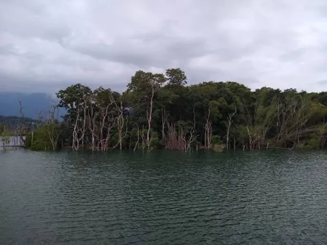 Peppara Wildlife Sanctuary