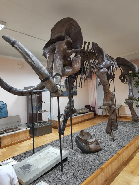 Penzenskiy Gosudarstvennyy Krayevedcheskiy Muzey