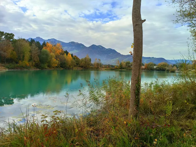 Baggerlöcher Rankweil