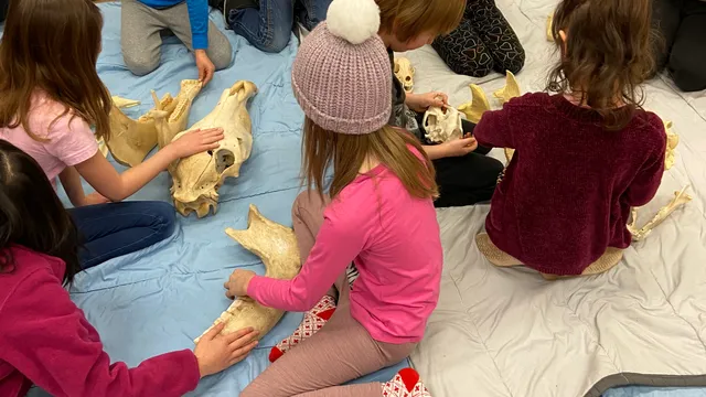 Saskatoon Zoo Society