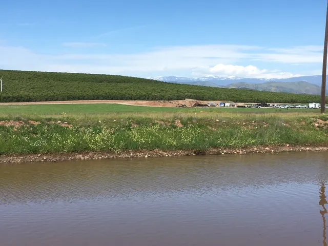 United California Citrus Inc