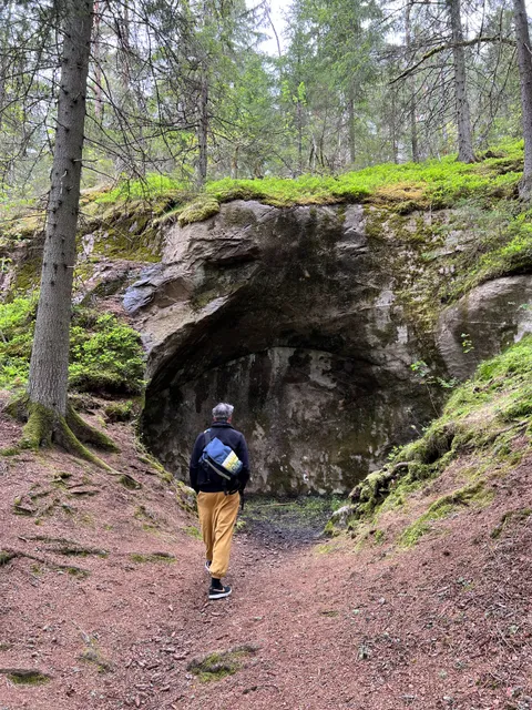 Steneby naturreservat