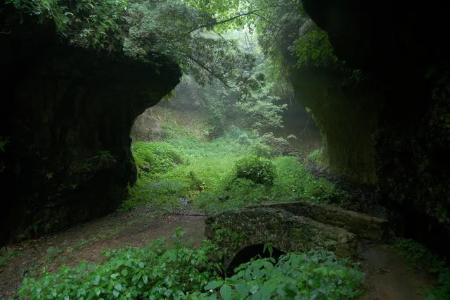 Highlands Nature Sanctuary