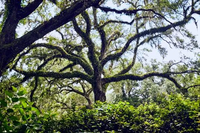 Eden Gardens State Park