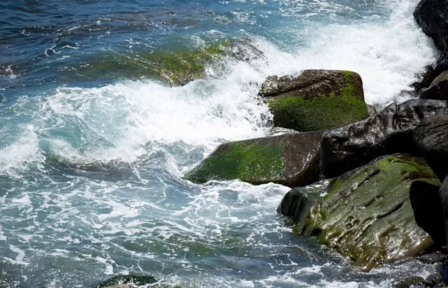 Municipal Park Roberto Mario Santini