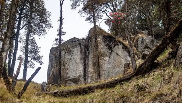 Ruiny zamku Gryf w Proszówce