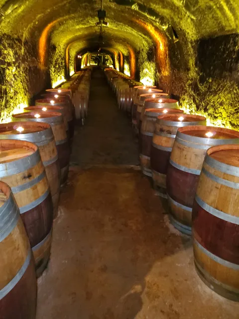 Del Dotto Historic Winery & Caves