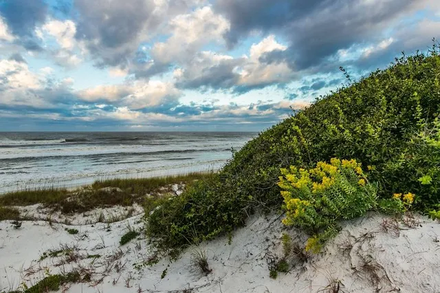 T.H. Stone Memorial St. Joseph Peninsula State Park