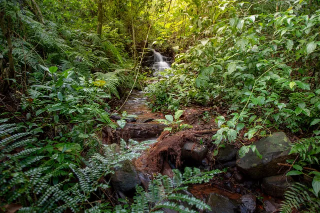 Municipio de Puerto Rico