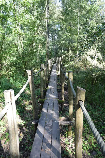 Vallei van de Serskampse Beek