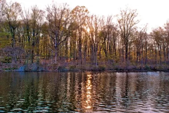 Schooley's Mountain Park