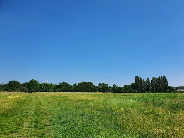 Warren Farm Nature Reserve