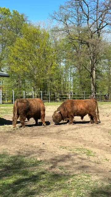 Mini zoo in Millennium Park