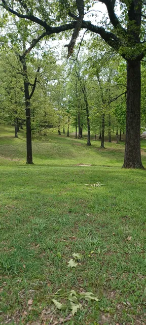 Madisonville City Park
