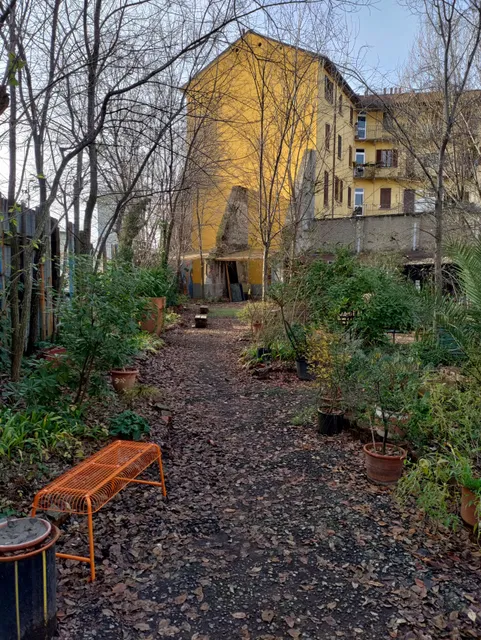 Isola Pepe Verde IPV