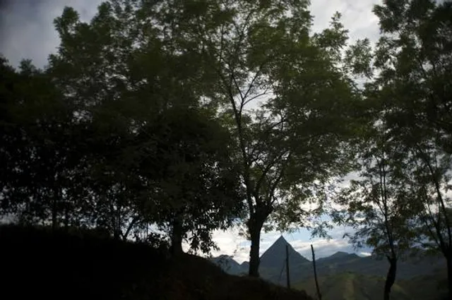 Sharpe Hill Vineyard