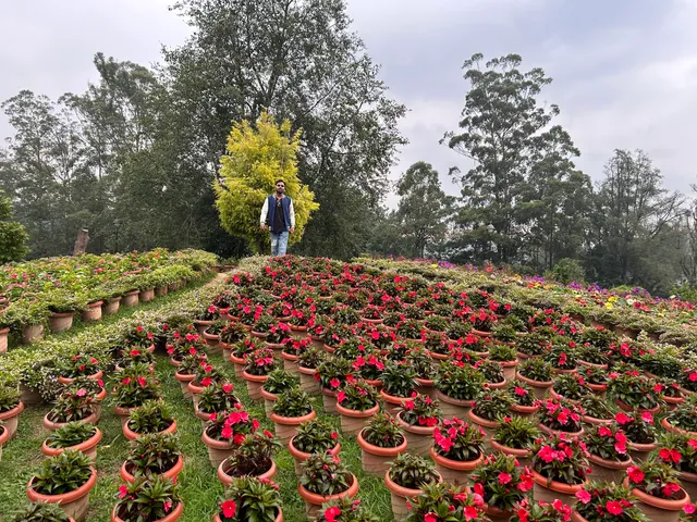Hydel Park parking ground
