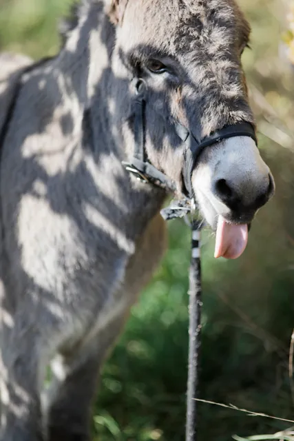 Domaine Madame Aly Duhr