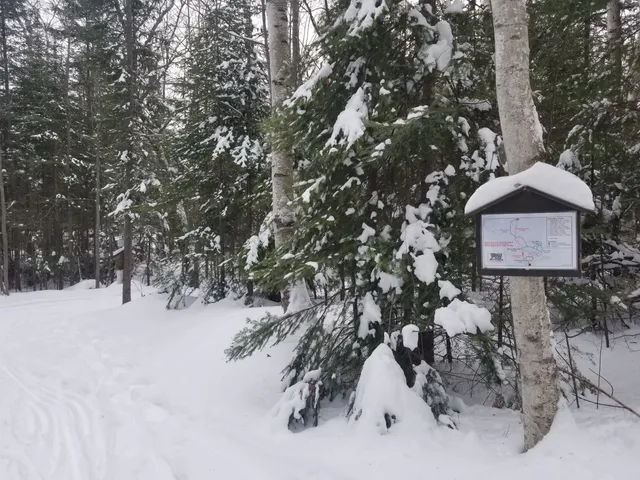 East Ferris Township