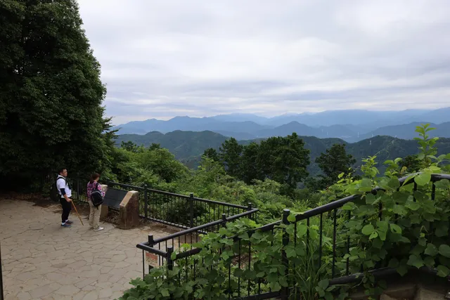 Ōmiharashidai Viewpoint (Mt. Takao)