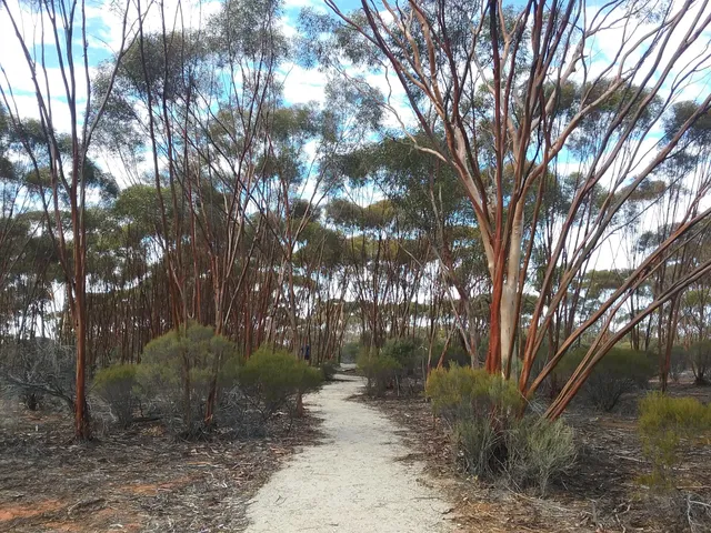 Boorabbin National Park