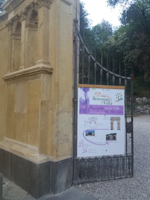photo-2