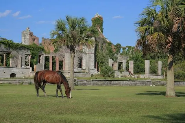 Cumberland Island National Seashore Museum