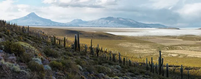 Salar de Coipasa