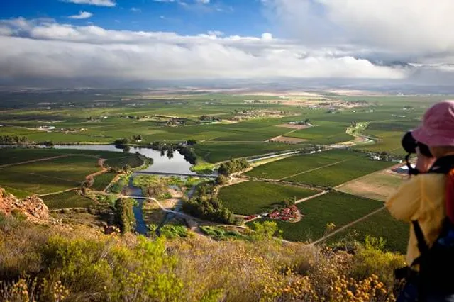 Robertson Wine Valley