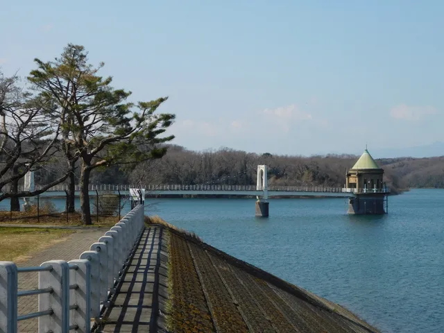 Sayama Lake