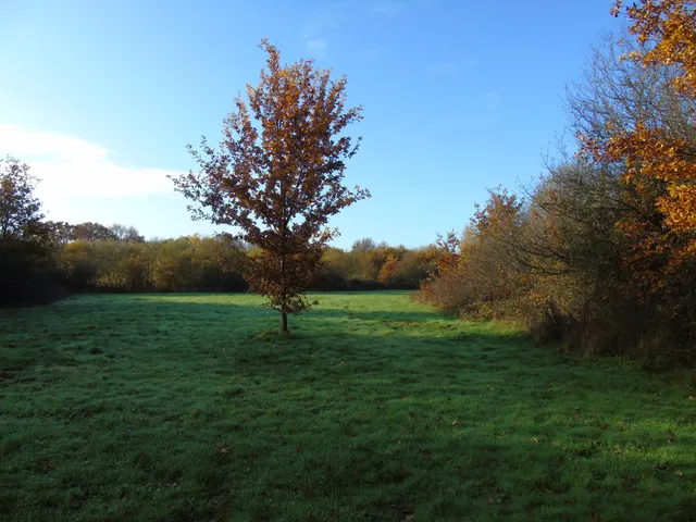Parc de Saint-Jacques