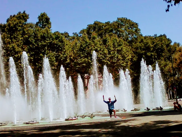 Passeig dels Plàtans (Promenade des Platanes)