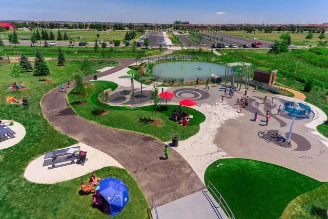 The Creditview Activity Hub