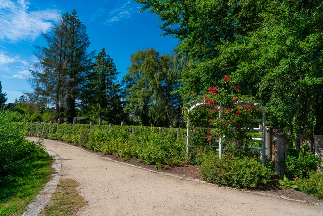 Martha Müller-Grählert Park