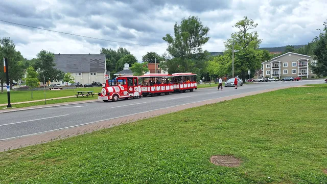 Corner Brook Mill Whistler Train
