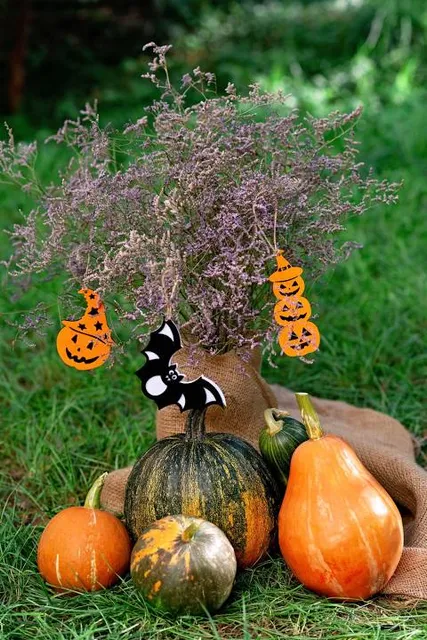 Βοτανικός Κήπος Ζέλιος Γη