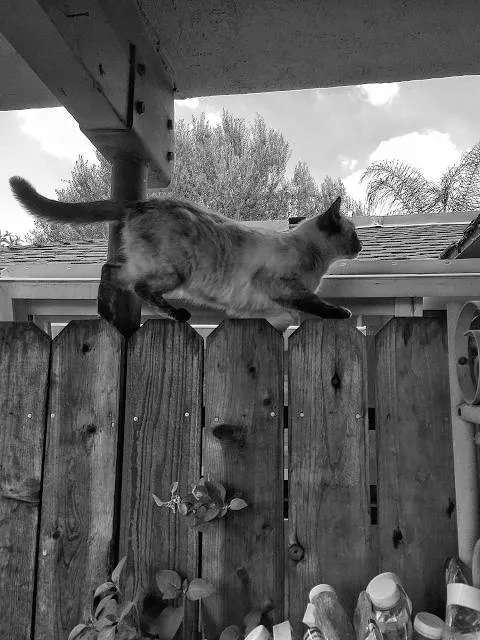 Apple Valley Hillbilly Garden and Toyland