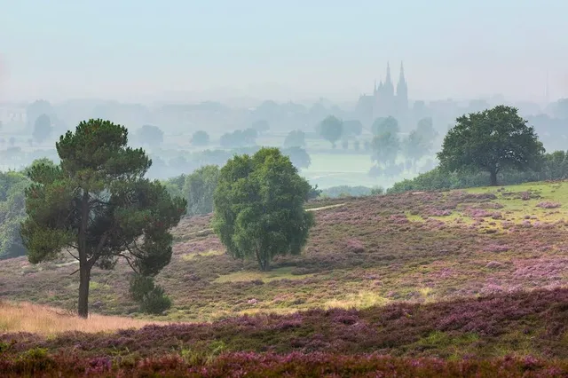 Uitzichtpunt De Mookerheide