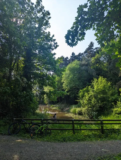 Ketley Paddock Mound