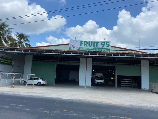 Cty XNK Fruit95 (thanh long xuất khẩu)