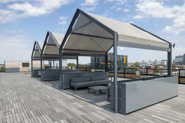 Solo On Chestnut 4233