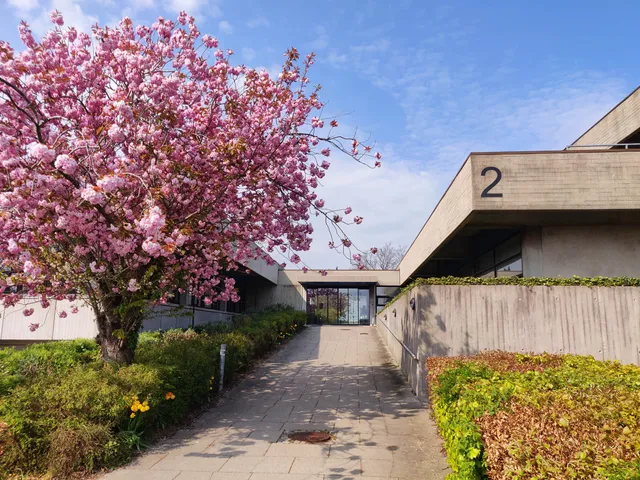Kulturmuseum Øst
